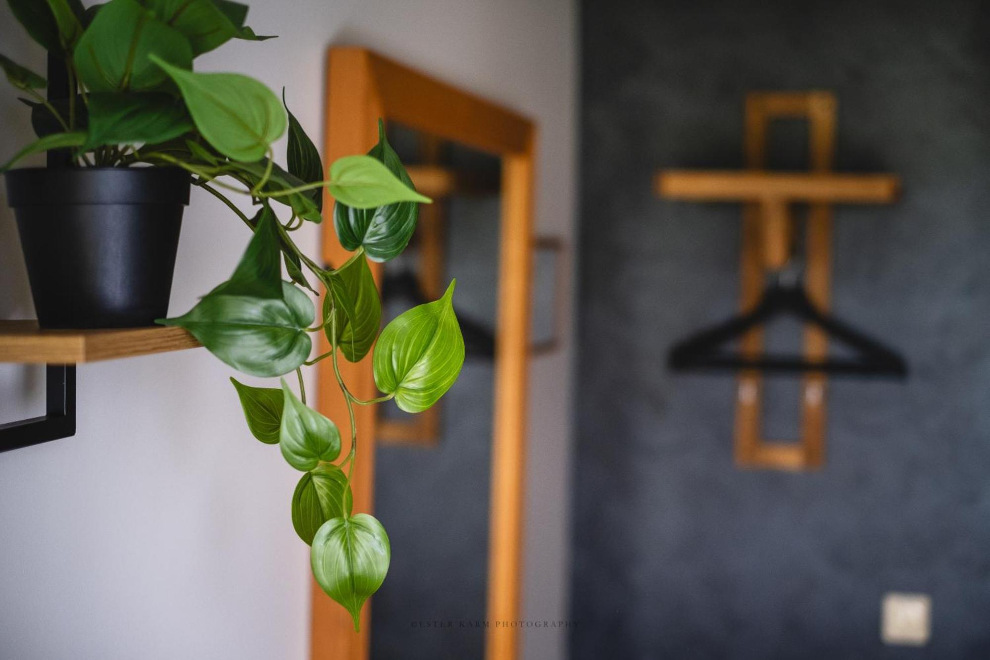 Pinska Guesthouse Экстерьер фото